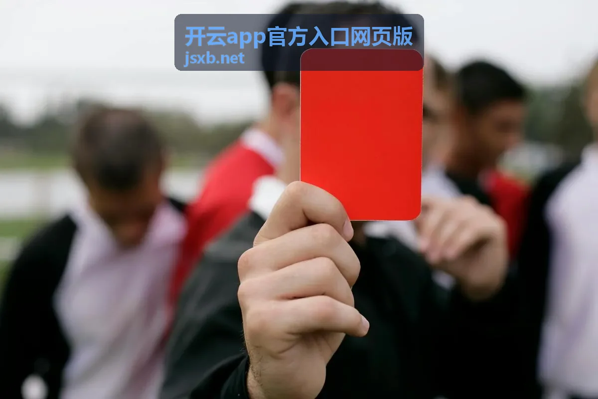 开云app官方入口网页版页面标识比对示意